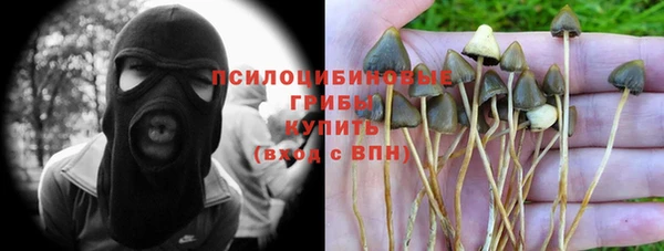 индика Балахна