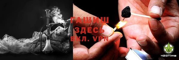 индика Балахна