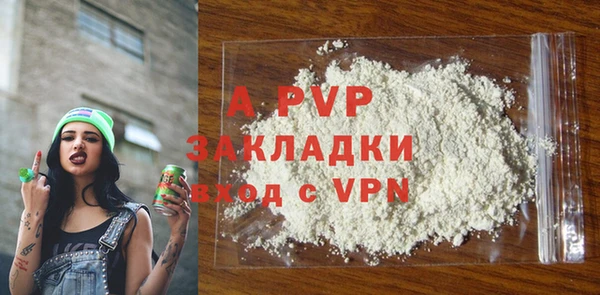 индика Балахна