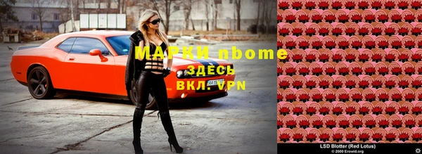 индика Балахна