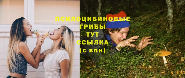 индика Балахна