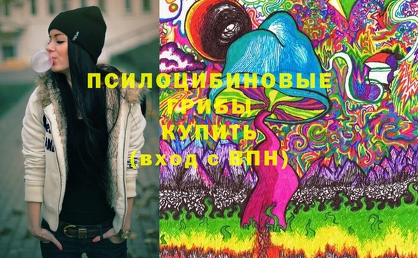 индика Балахна