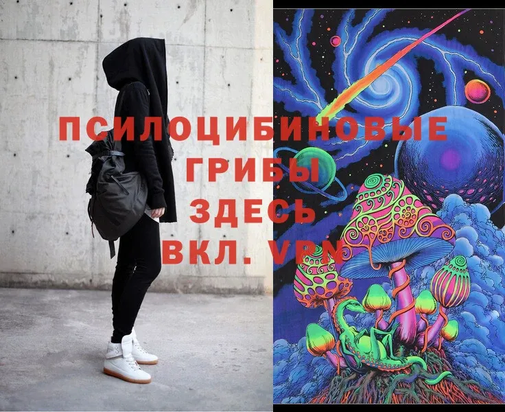 Псилоцибиновые грибы MAGIC MUSHROOMS  что такое   Волчанск 