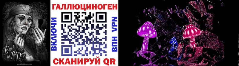 дарнет шоп  Волчанск  Псилоцибиновые грибы мицелий 